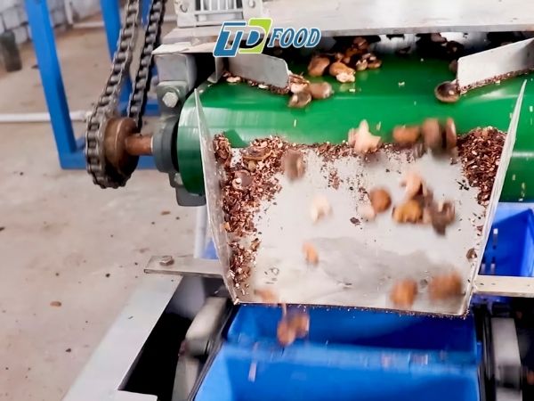 Sơ chế hạt điều